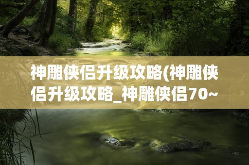 神雕侠侣升级攻略(神雕侠侣升级攻略_神雕侠侣70~90秒升级攻略)