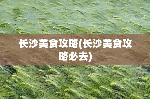 长沙美食攻略(长沙美食攻略必去)