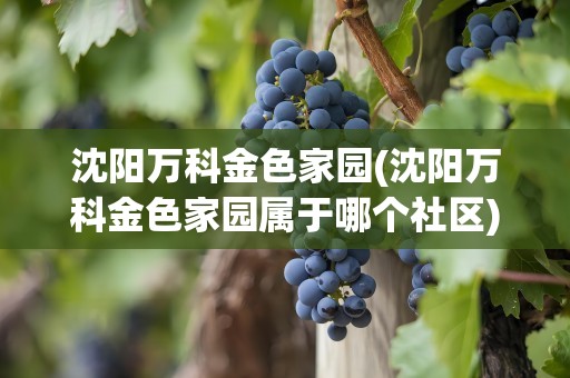 沈阳万科金色家园(沈阳万科金色家园属于哪个社区)