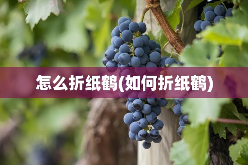 怎么折纸鹤(如何折纸鹤)