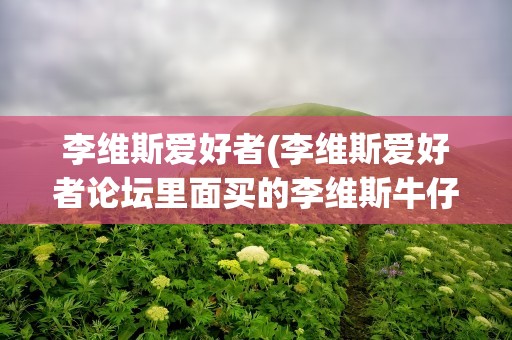 李维斯爱好者(李维斯爱好者论坛里面买的李维斯牛仔裤是真的吗)
