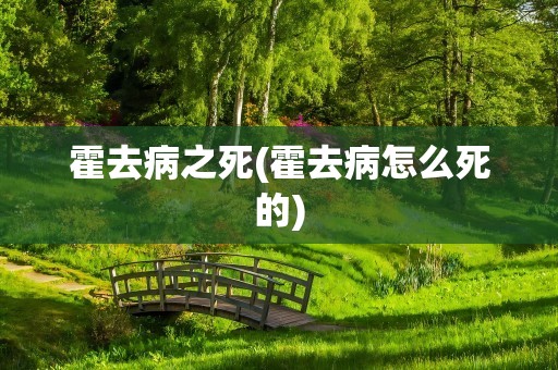 霍去病之死(霍去病怎么死的)