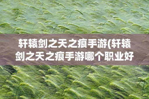 轩辕剑之天之痕手游(轩辕剑之天之痕手游哪个职业好)