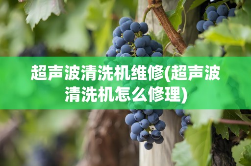 超声波清洗机维修(超声波清洗机怎么修理)