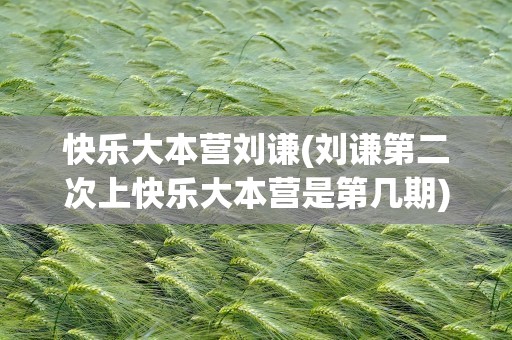 快乐大本营刘谦(刘谦第二次上快乐大本营是第几期)