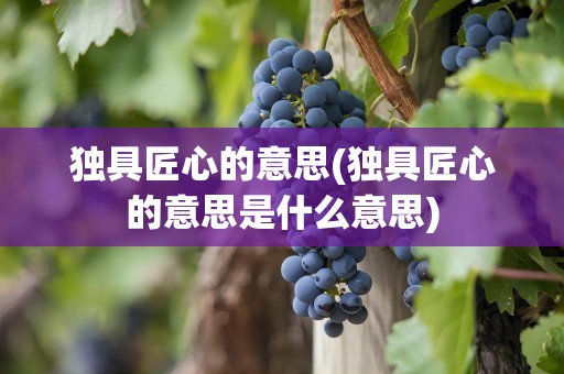 独具匠心的意思(独具匠心的意思是什么意思)