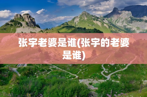 张宇老婆是谁(张宇的老婆是谁)