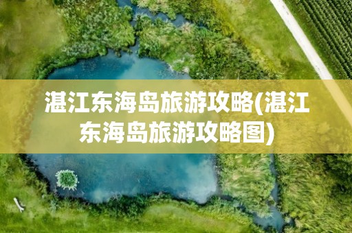 湛江东海岛旅游攻略(湛江东海岛旅游攻略图)