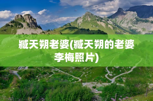 臧天朔老婆(臧天朔的老婆李梅照片)