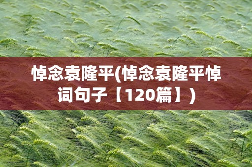 悼念袁隆平(悼念袁隆平悼词句子【120篇】)