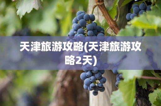 天津旅游攻略(天津旅游攻略2天)