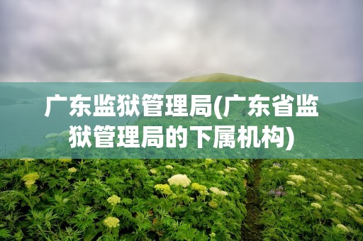 广东监狱管理局(广东省监狱管理局的下属机构)