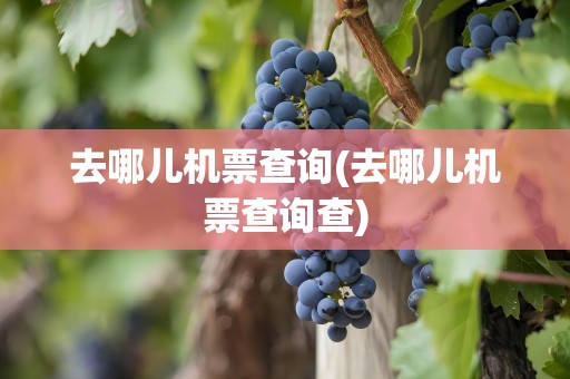 去哪儿机票查询(去哪儿机票查询查)