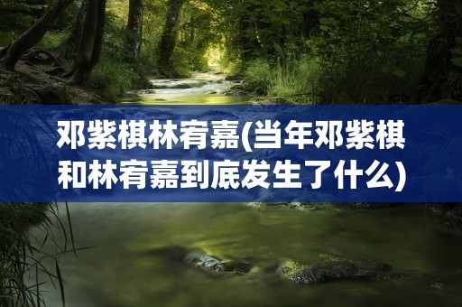 邓紫棋林宥嘉(当年邓紫棋和林宥嘉到底发生了什么)