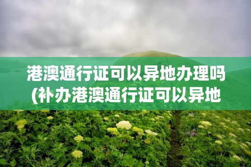 港澳通行证可以异地办理吗(补办港澳通行证可以异地办理吗)