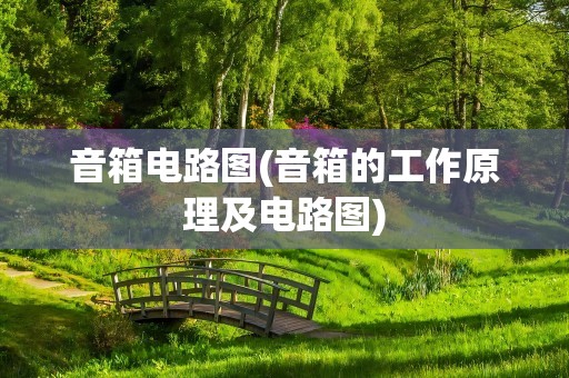 音箱电路图(音箱的工作原理及电路图)
