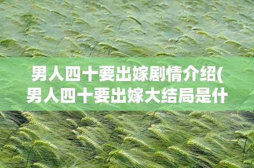 男人四十要出嫁剧情介绍(男人四十要出嫁大结局是什么)