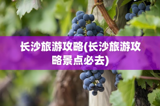 长沙旅游攻略(长沙旅游攻略景点必去)