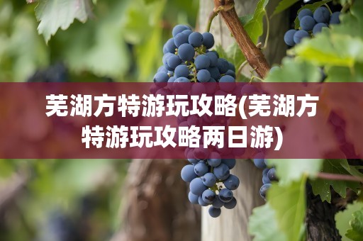 芜湖方特游玩攻略(芜湖方特游玩攻略两日游)