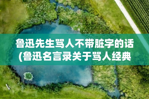 鲁迅先生骂人不带脏字的话(鲁迅名言录关于骂人经典句)