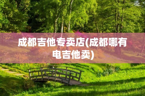 成都吉他专卖店(成都哪有电吉他卖)