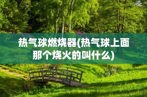 热气球燃烧器(热气球上面那个烧火的叫什么)