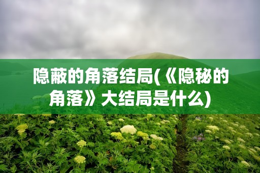 隐蔽的角落结局(《隐秘的角落》大结局是什么)