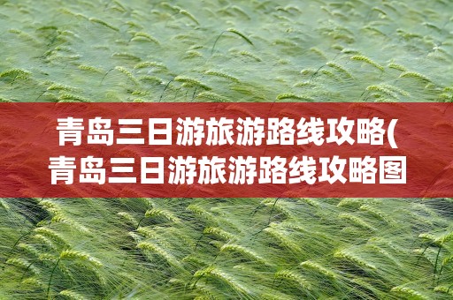 青岛三日游旅游路线攻略(青岛三日游旅游路线攻略图)