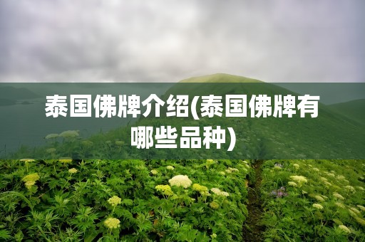 泰国佛牌介绍(泰国佛牌有哪些品种)