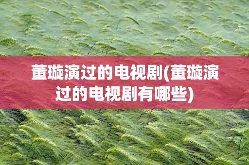 董璇演过的电视剧(董璇演过的电视剧有哪些)
