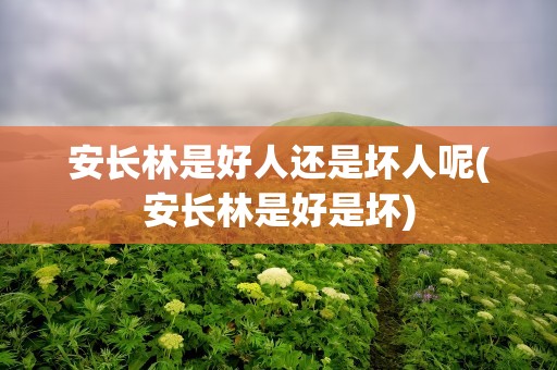 安长林是好人还是坏人呢(安长林是好是坏)