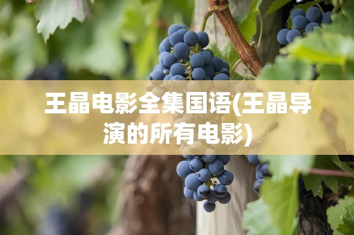 王晶电影全集国语(王晶导演的所有电影)
