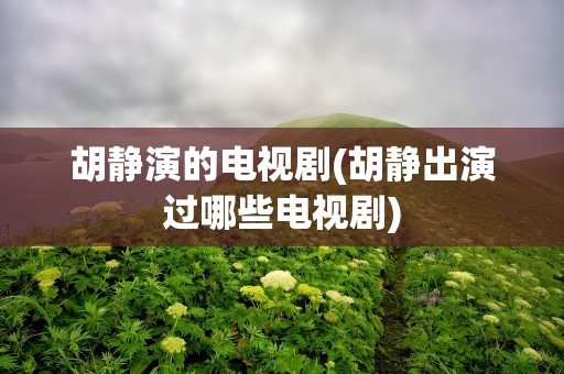 胡静演的电视剧(胡静出演过哪些电视剧)