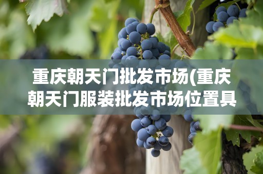重庆朝天门批发市场(重庆朝天门服装批发市场位置具体在哪)