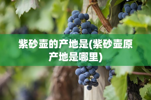紫砂壶的产地是(紫砂壶原产地是哪里)