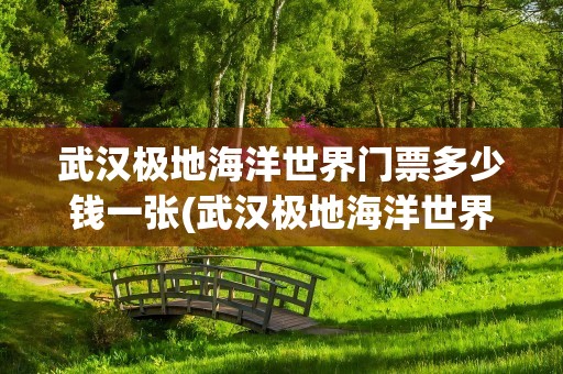 武汉极地海洋世界门票多少钱一张(武汉极地海洋世界门票多少钱一张票)