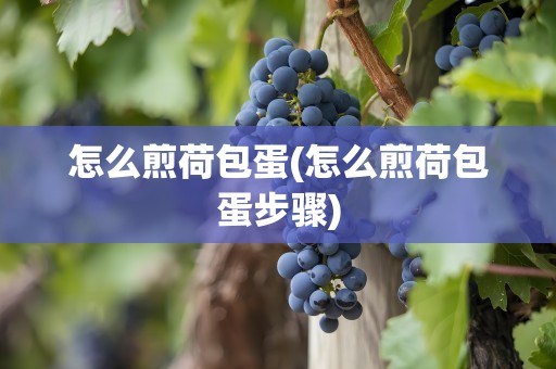 怎么煎荷包蛋(怎么煎荷包蛋步骤)