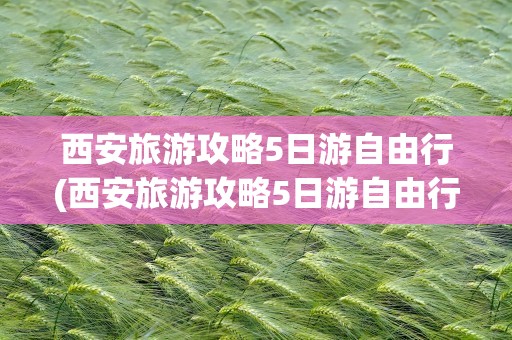 西安旅游攻略5日游自由行(西安旅游攻略5日游自由行图)