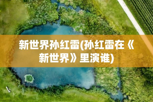 新世界孙红雷(孙红雷在《新世界》里演谁)