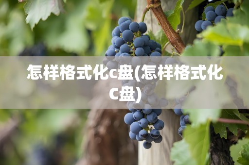 怎样格式化c盘(怎样格式化C盘)