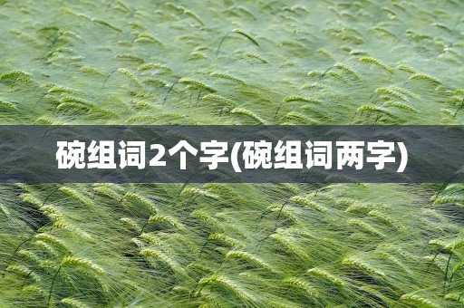 碗组词2个字(碗组词两字)