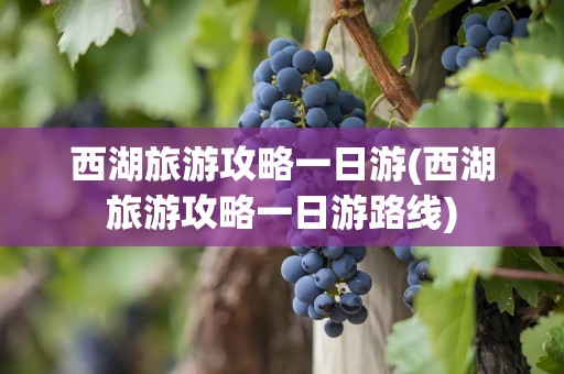西湖旅游攻略一日游(西湖旅游攻略一日游路线)