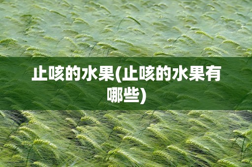 止咳的水果(止咳的水果有哪些)