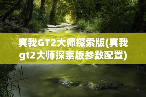 真我GT2大师探索版(真我gt2大师探索版参数配置)