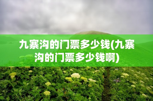 九寨沟的门票多少钱(九寨沟的门票多少钱啊)