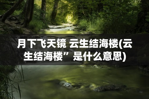 月下飞天镜 云生结海楼(云生结海楼”是什么意思)