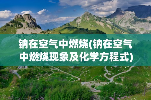 钠在空气中燃烧(钠在空气中燃烧现象及化学方程式)