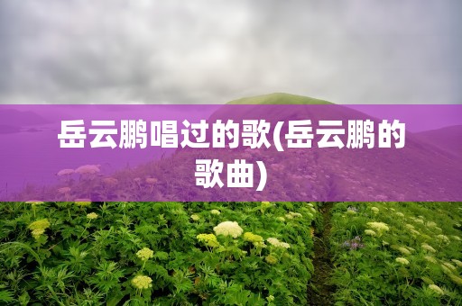 岳云鹏唱过的歌(岳云鹏的歌曲)