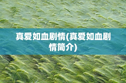 真爱如血剧情(真爱如血剧情简介)