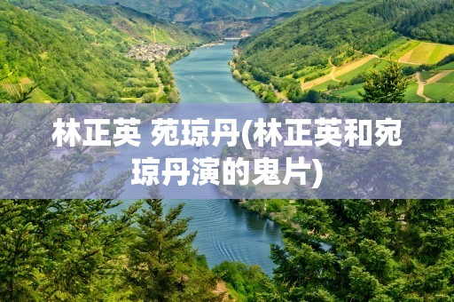 林正英 苑琼丹(林正英和宛琼丹演的鬼片)